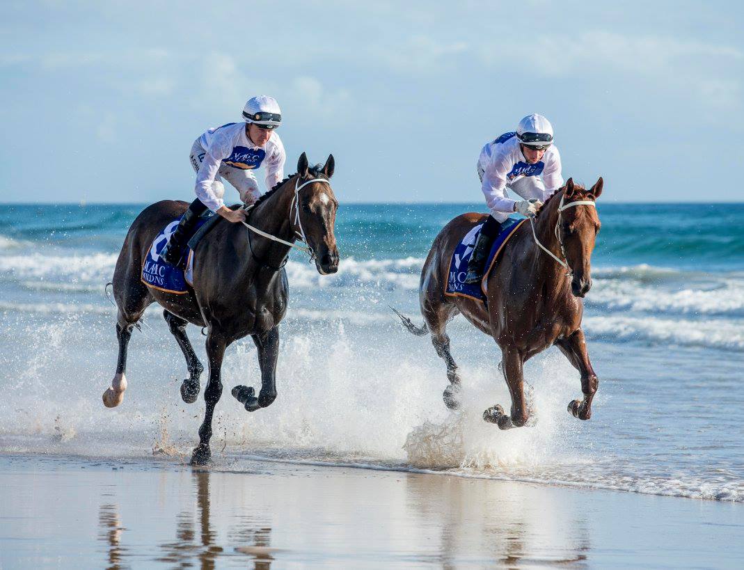 Beach Horse Riding